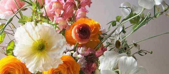 Floristry Workshop With The Rose & Radish Course at Seppeltsfield